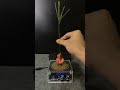 TESLA COIL + TOMATO + STRAWBERRY + PLANTS #experiment #teslacoil #shorts