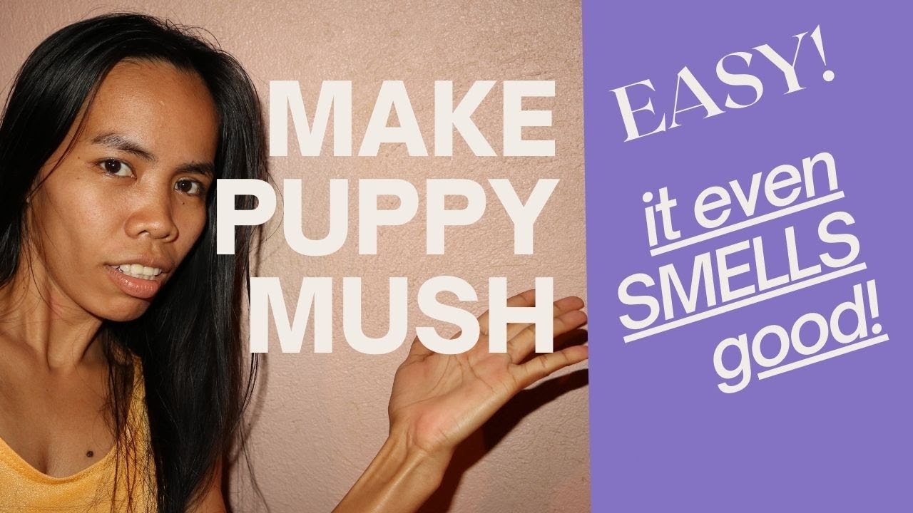 Puppy Mush They Will Love! Simple, Nutritious and Easy to Make With 3
