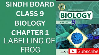 Labelling of frog | Sindh board class 9 biology Chapter 1