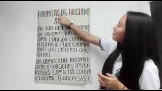 explicación sobre los formatos SYS Y RTF