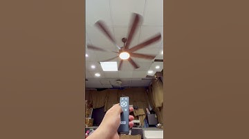 Thumbnail of 8 Blades BLDC Fan | Kühl Platin D8 Review 😊