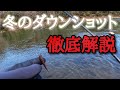 【バス釣り】真冬でも釣れるダウンショットリグの動かし方、おすすめワーム、タックル、など徹底解説！【冬】【釣り方】【初心者】