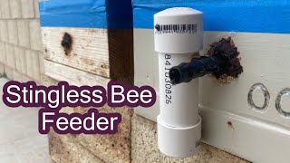 Stingless Bee Feeder (Single Hive) by Practical Primate 6,377 views 3 years ago 4 minutes, 56 seconds