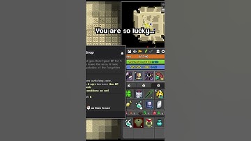 Shiny PROT On PRIEST PPE! And Legendary GEB TOME! #rotmgexalt #rotmg #mmorpg #oryx