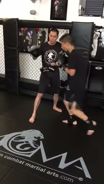VID 20180712 WA0003 2