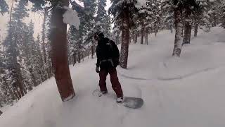 A BASIN- BEAVERS ON A POWDER DAY