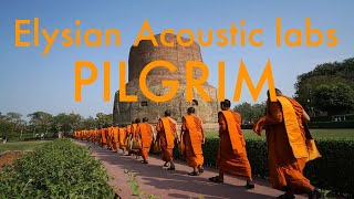 Elysian Acoustical Labs - PILGRIM