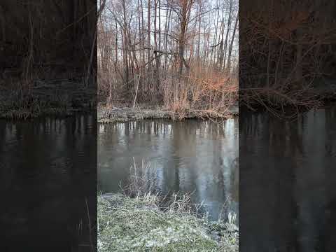 Малые реки Поволжья #fishing #рыбалка #tiktok #shorts #short #shortsvideo