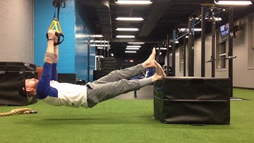 TRX Inverted Hamstring Curl