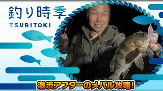 【釣り時季】激渋アフターのメバル攻略!