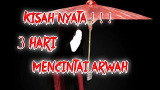 TRUE STORY!! 3 DAYS OF LOVING A CURIOSITY SPIRIT