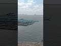 Dhudhawa dam ( sarona) . msd boy vlogs..khubsurat jagah