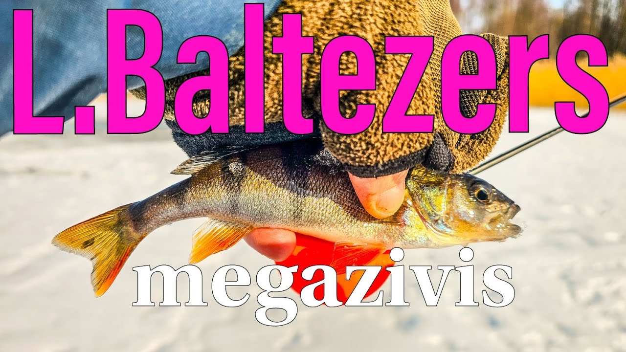 Lielais Baltezers. Asaru cope.