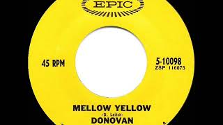 Video thumbnail of "1966 HITS ARCHIVE: Mellow Yellow - Donovan (a #1 record--mono)"