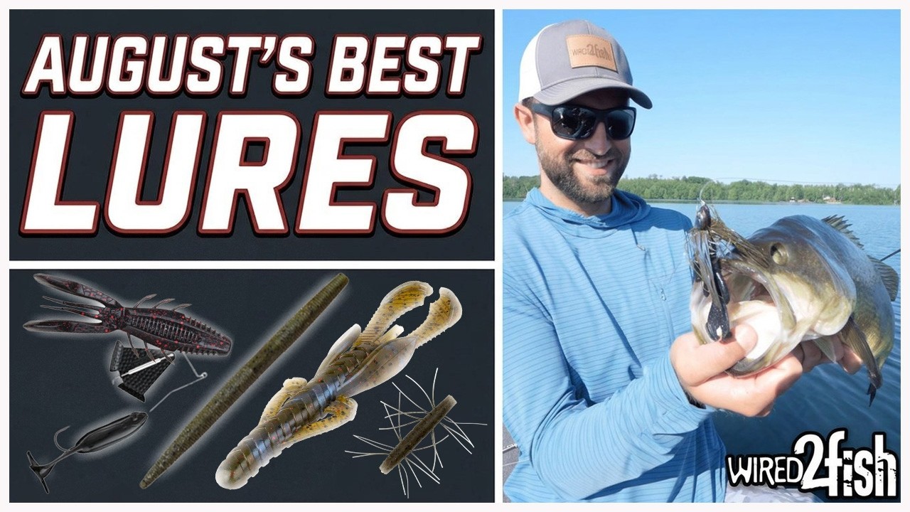 Our Best Bass Fishing Lures for August