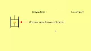 Famous Newton's Laws on an Elevator Wealth