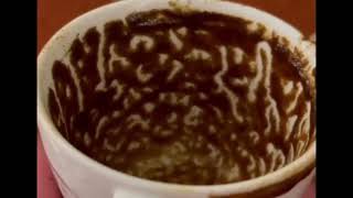 Leo Your Dreams Are Still Alive Coffee Cup Reading