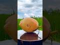 Coconut Cut, Excellent!! #coconut #fruitcutting #ASMR #globalvibes #trending #shorts