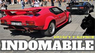 De Tomaso Pantera Tra Le Leggende Della Motor Valley Wow, Che Spettacolo