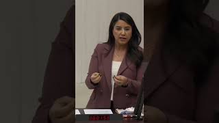 Dem Partili Dilan Kunt Ayan İzahı Olmayan Şeyin Mizahı Olur