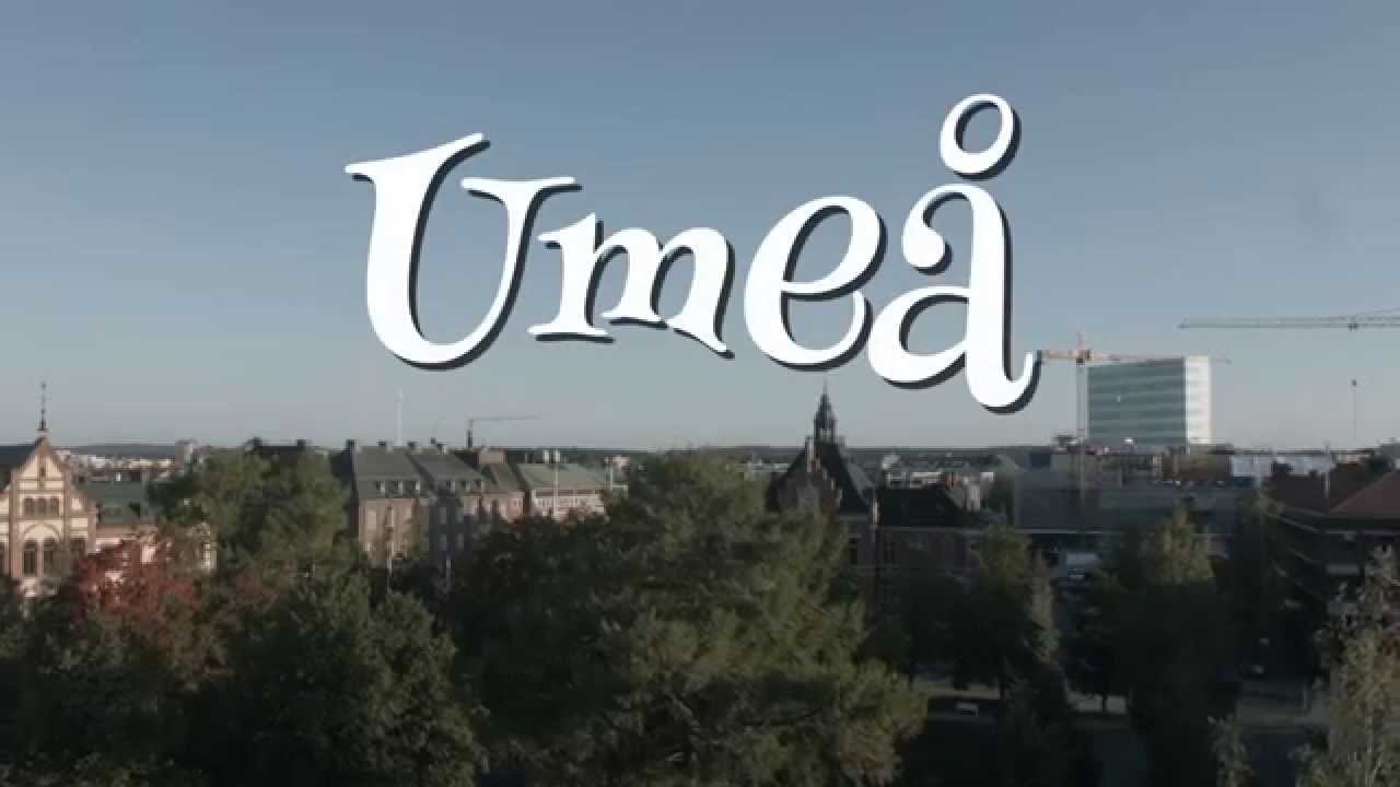 blandade kycklingar dejtingsajter