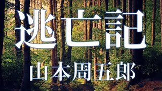 【朗読】逃亡記　山本周五郎　読み手 アリア