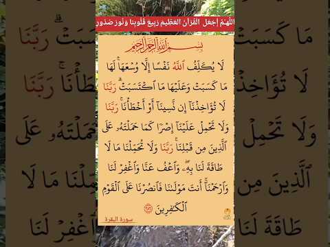 لا يكلف الله نفسا إلا وسعها القارئ صلاح ابو خاطر سورة البقرة   اكسبلور فولو