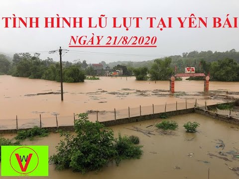 Tình hình lũ lụt tại Yên Bái - ngày 21/8/2020
