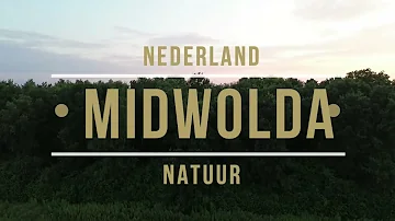 #natuur #nederland #oldambt #top 10#Midwolda