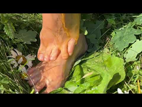 I pour honey onto my bare feet in the forest 🐝