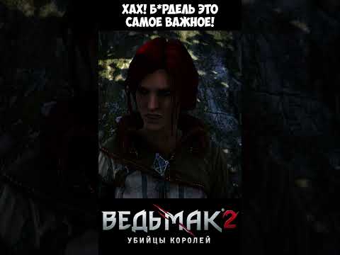 Б*рдель это самое важное! The Witcher 2 | Ведьмак 2 #shorts