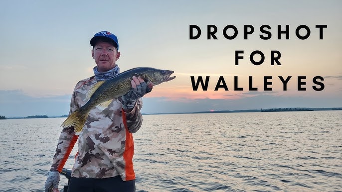 Top Drop Shot Rig Plastics for Walleye Fishing 