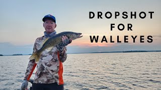 EFFECTIVE Dropshot Techniques for Walleye