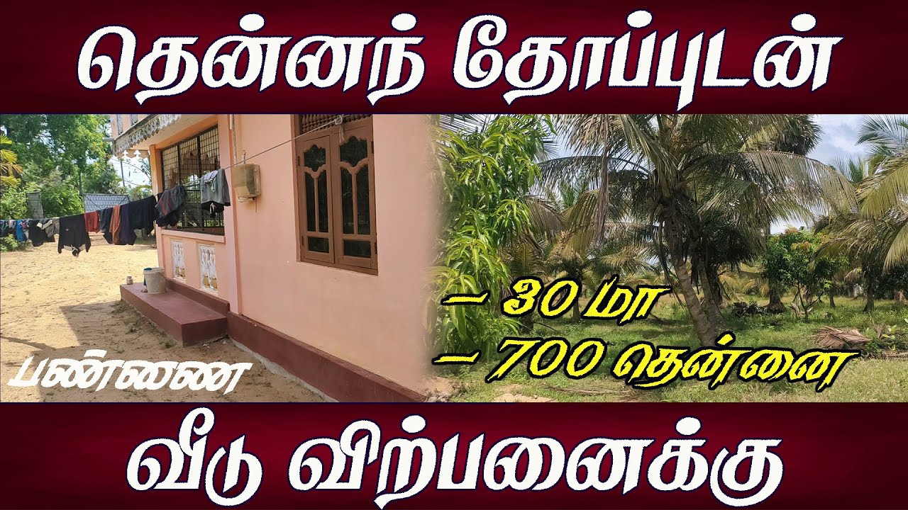 NP114 - தென்னந் தோப்பு விற்பனைக்கு l  590Lakh l Northern Properties  #landforsale