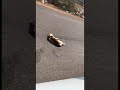 مرحوم بالسن على الخط مدعوس