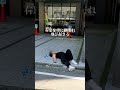 【飲み過ぎ注意】日本だから良いものの、#酔っ払い#金沢片町#shorts
