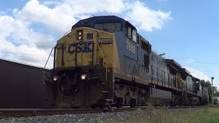 Q218 Ping A Nyc Searchlight Signal