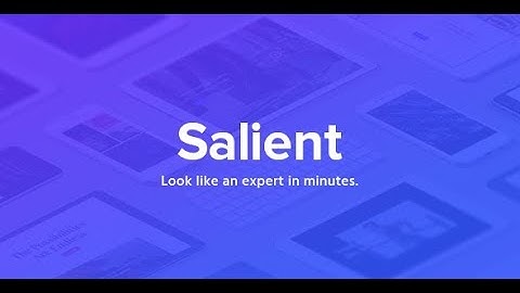 Salient - Responsive Multi-Purpose Theme Review Part 1