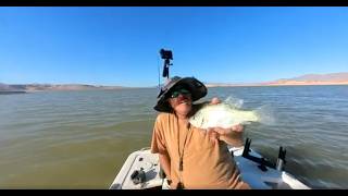 Echo Bay &Willow on Memorial Day  #willowbeachfishing  #lakemeadfishing