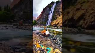 surah Muhammad Urdu translation ayaat.35