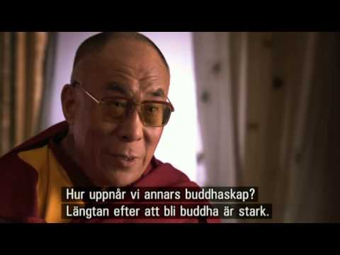 Video: Buddhas Historia Och Buddhismens Ursprung - Alternativ Vy