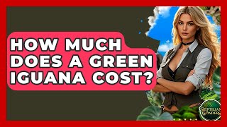 How Much Does A Green Iguana Cost? - Reptilian Wonders
