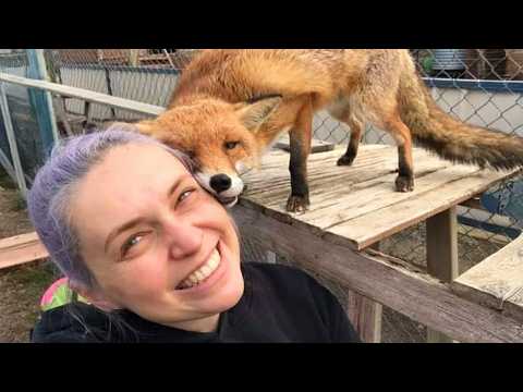 When Animals Choose You as Their Favorite Person 😍Cute Animal Videos
