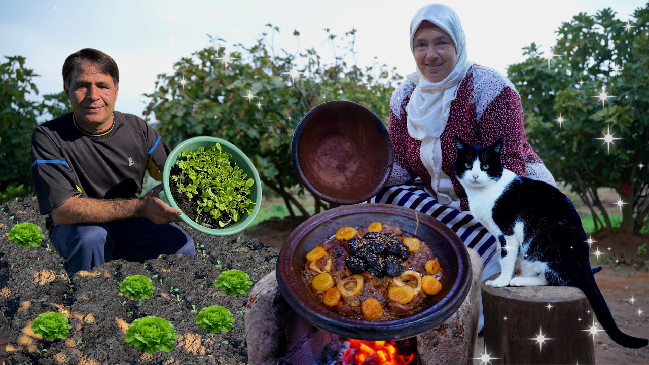 لحم العجل بالمشمش المجفف و زراعة الخس في المنزل بسهولة 