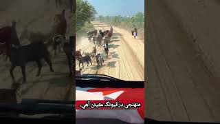 Girl Truck Driving | Lata Mangeshkar Best Song | Heart Touching Driving Short Video #shortsvideo