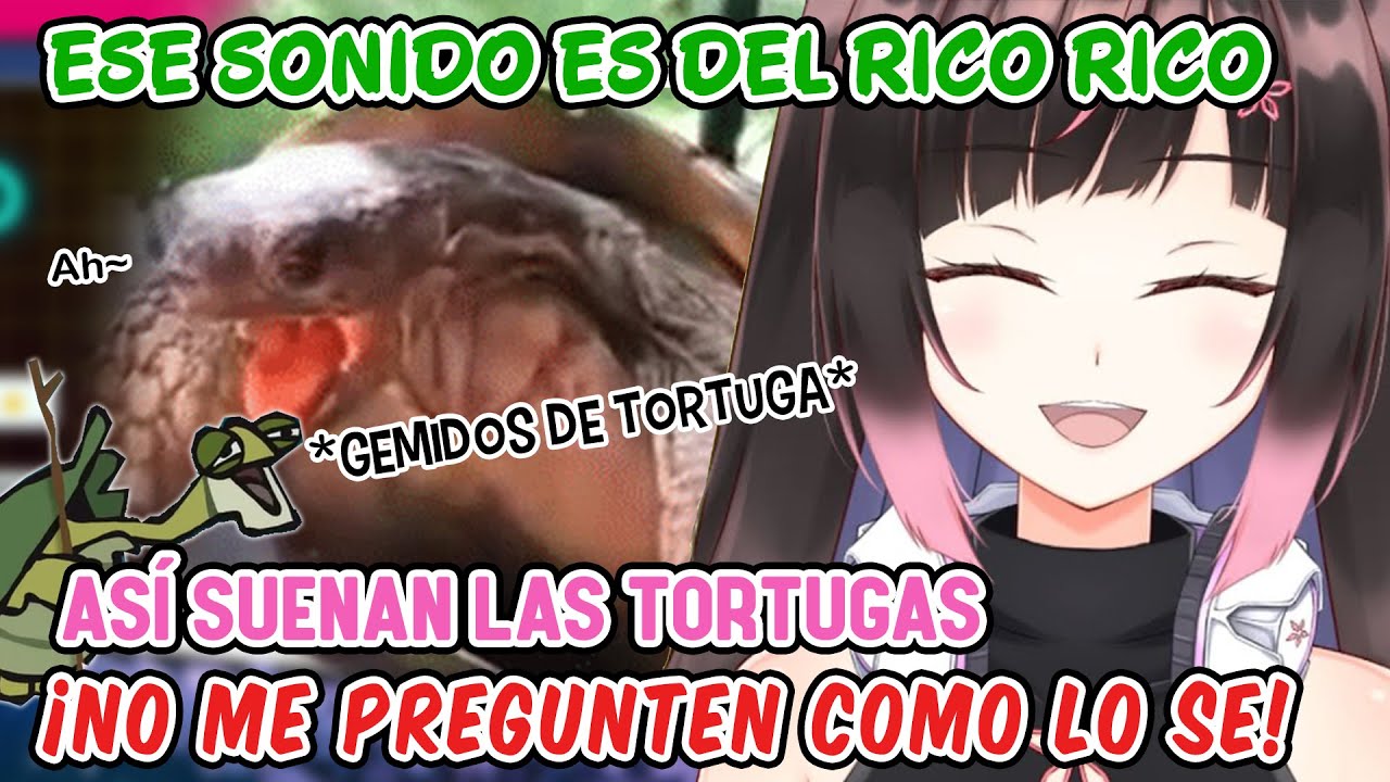 Gemidos de Tortuga [Hana Yomeguri] - YouTube