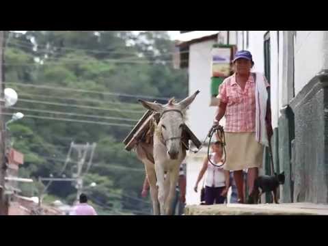 Video Oficial -