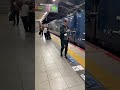 family night JR TOKAI shin kan sen Rail wey train Live