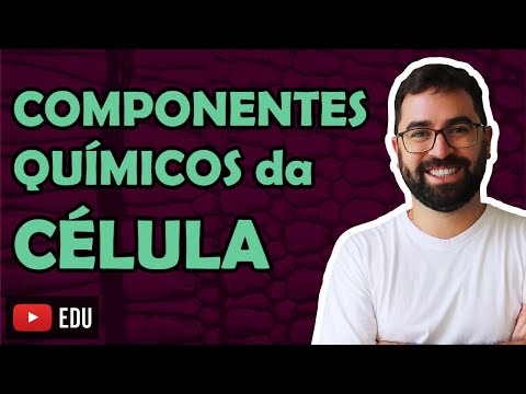 Vídeo: Composição Química Completa De Datas