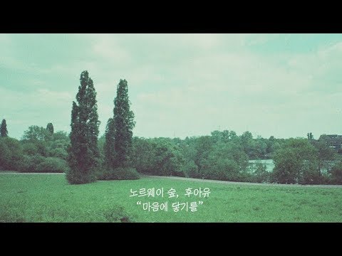 Youtube: 마음에 닿기를 / Norwegian Wood & Who R U